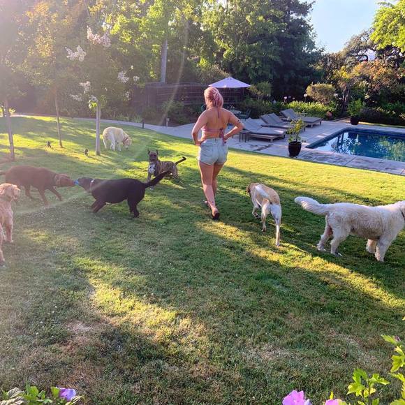 Meet your Posher, Lissy - Picture 1 of 1